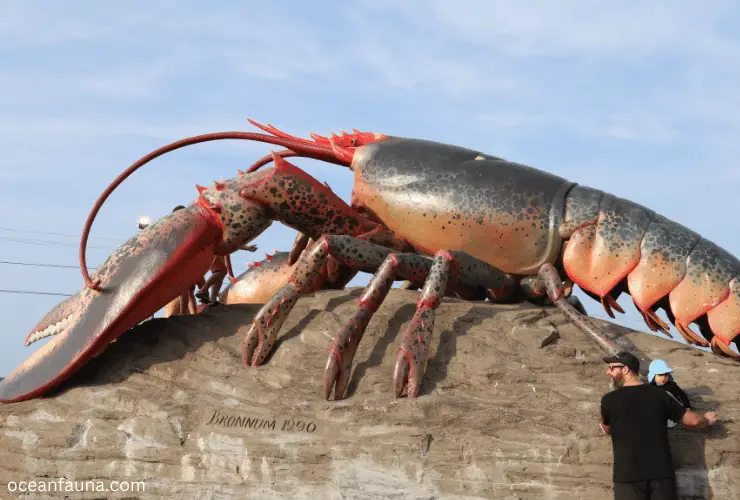 lobster giant