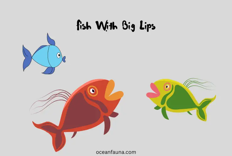 20 fish with big lips