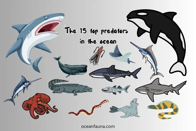 15 top predators in the ocean