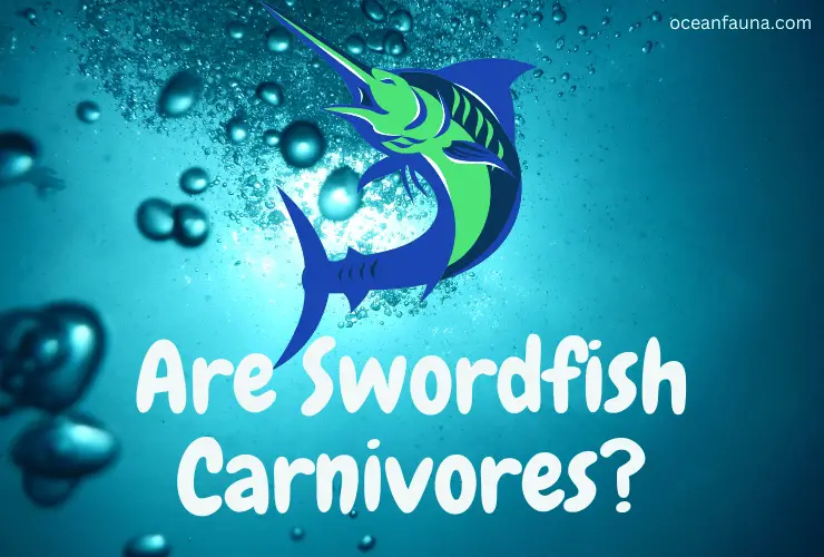 Are Swordfish Carnivores