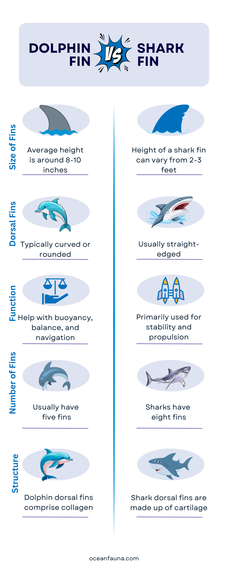Dolphin-fin-vs-Shark-fin
