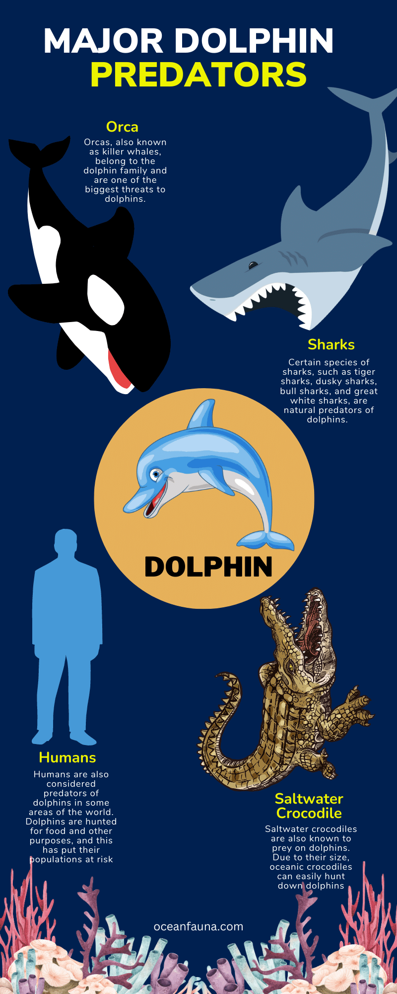 Major-Dolphin-Predators