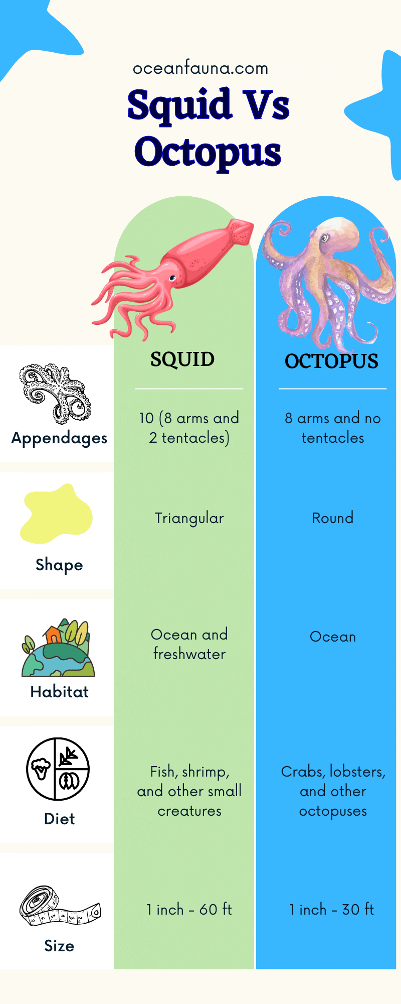 Squid Vs Octopus