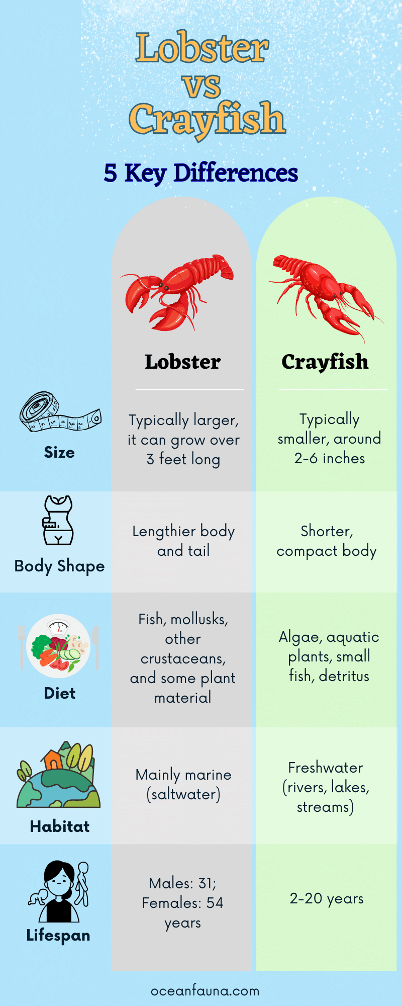 Lobster vs Crayfish